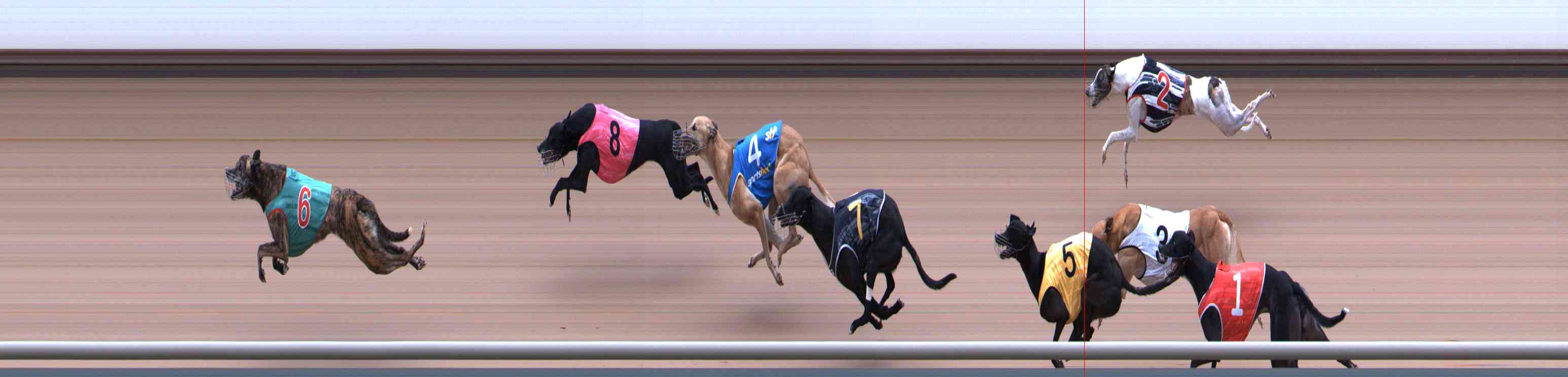 Photo finish for Healesville Race 3