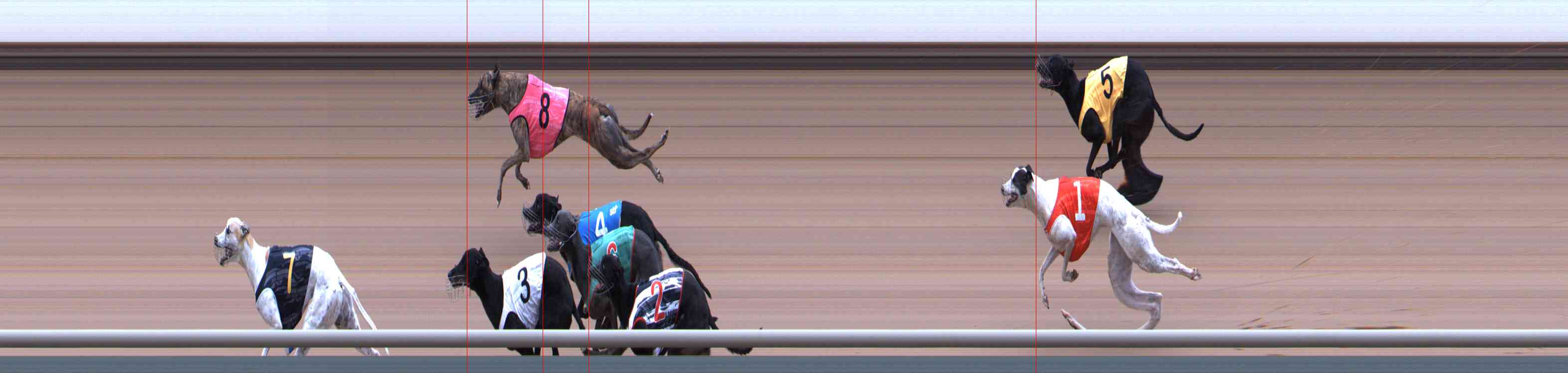 Photo finish for Healesville Race 4