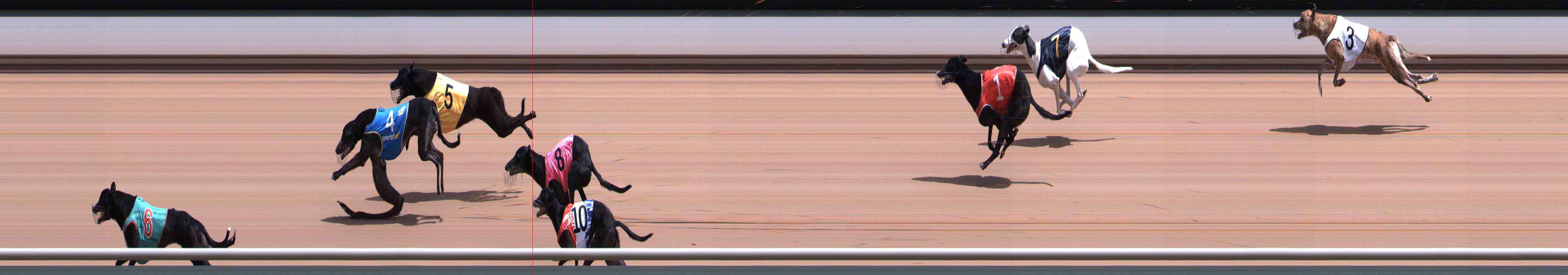 Photo finish for Healesville Race 5