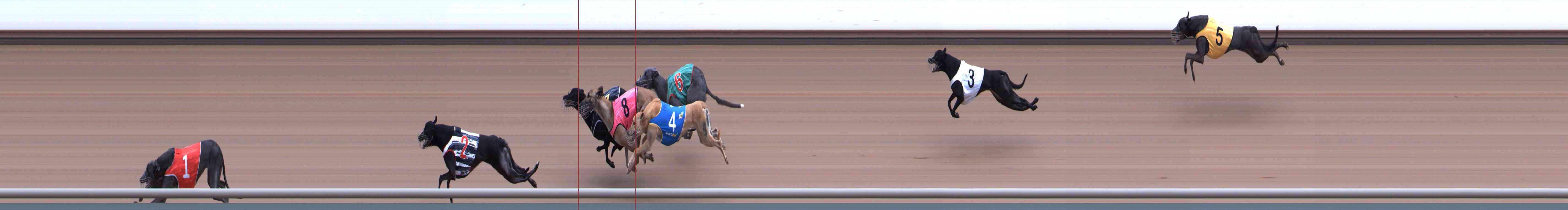 Photo finish for Healesville Race 6