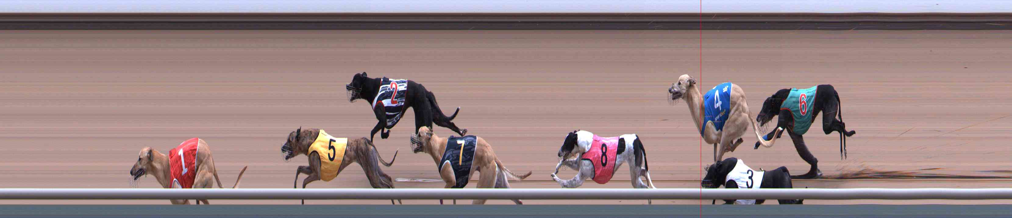 Photo finish for Healesville Race 7