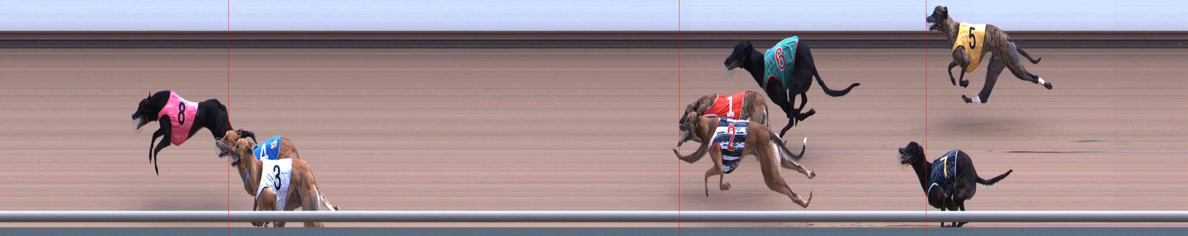 Photo finish for Healesville Race 8