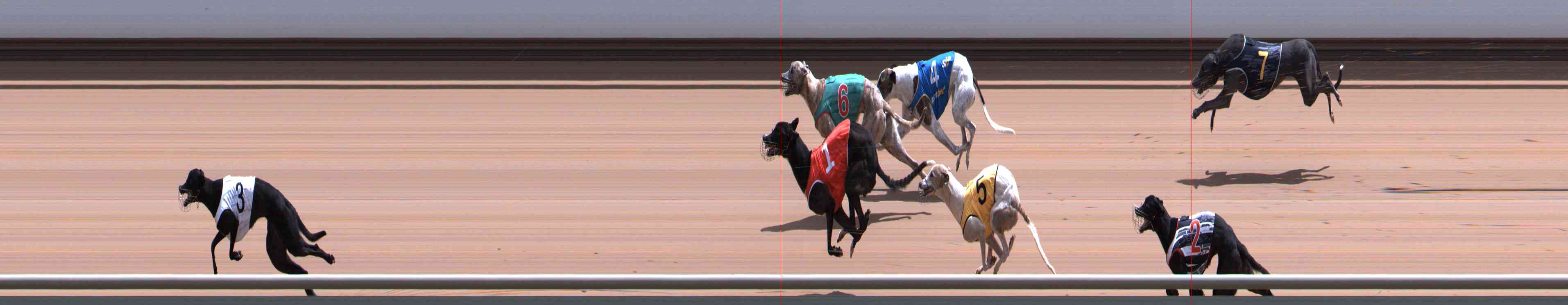 Photo finish for Healesville Race 9