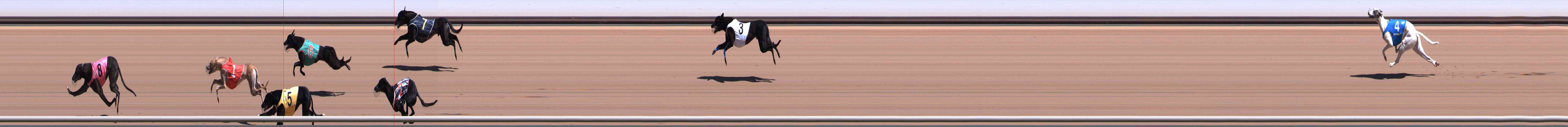 Photo finish for Healesville Race 1
