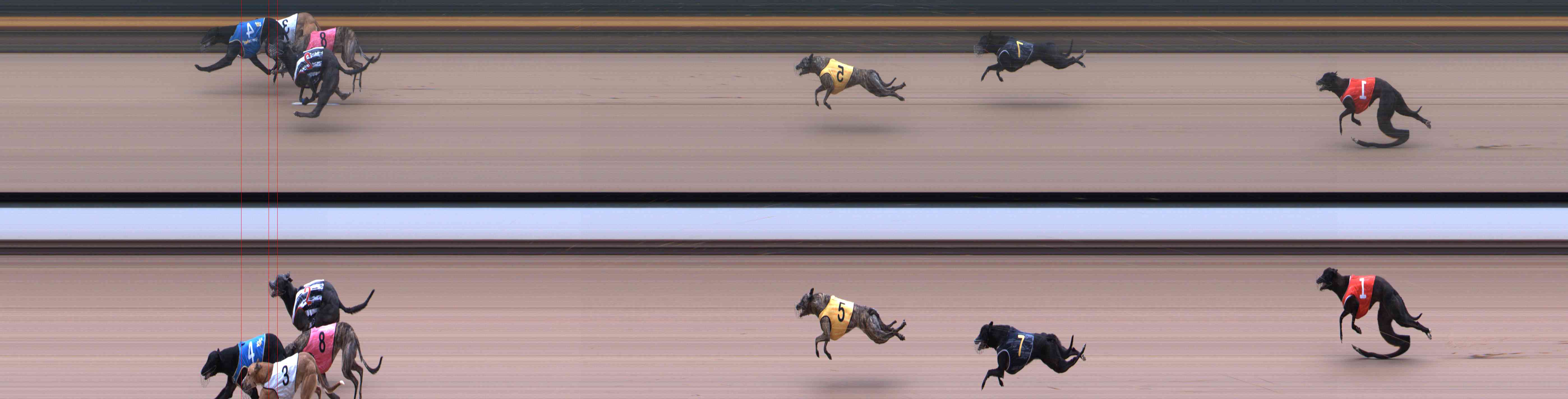Photo finish for Healesville Race 1