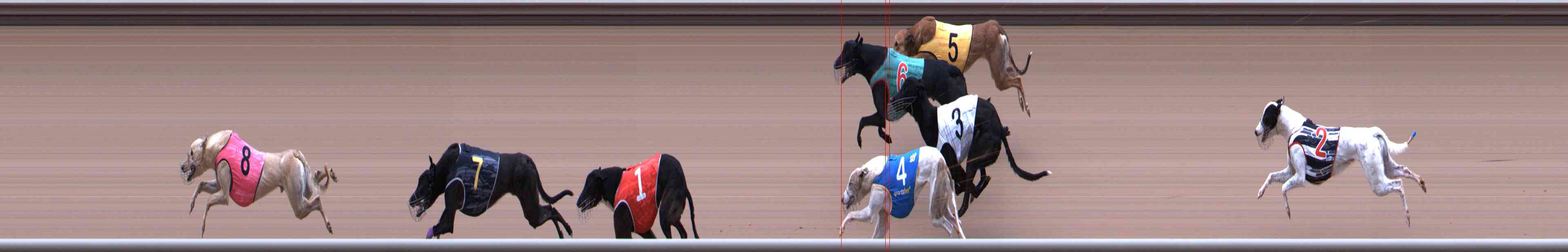 Photo finish for Healesville Race 2