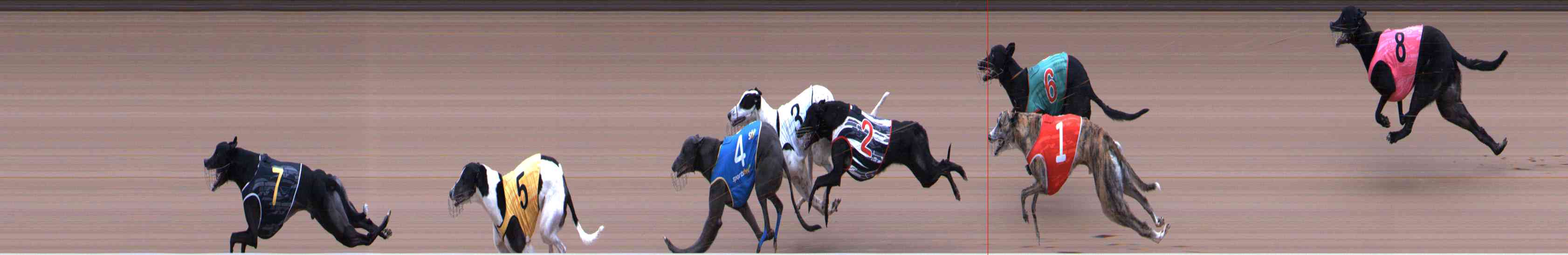 Photo finish for Healesville Race 3
