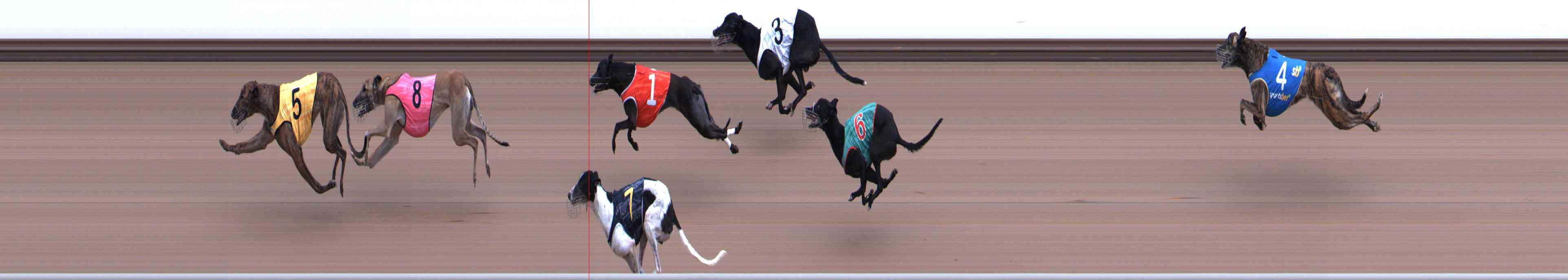 Photo finish for Healesville Race 4