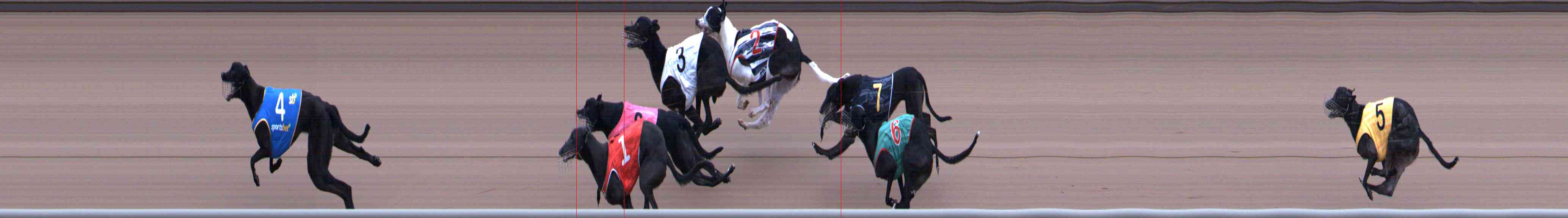 Photo finish for Healesville Race 5