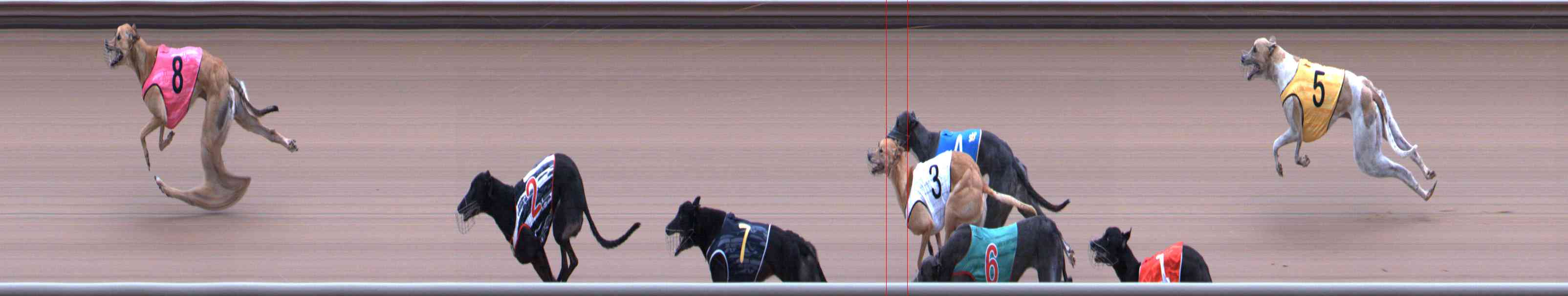 Photo finish for Healesville Race 6