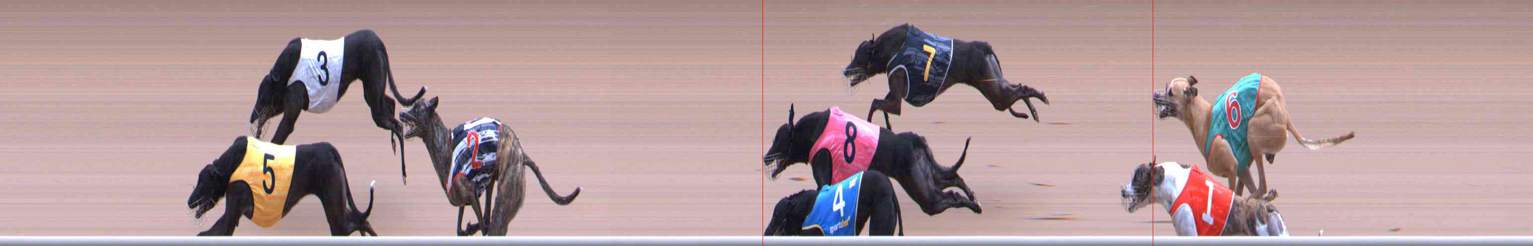Photo finish for Healesville Race 7