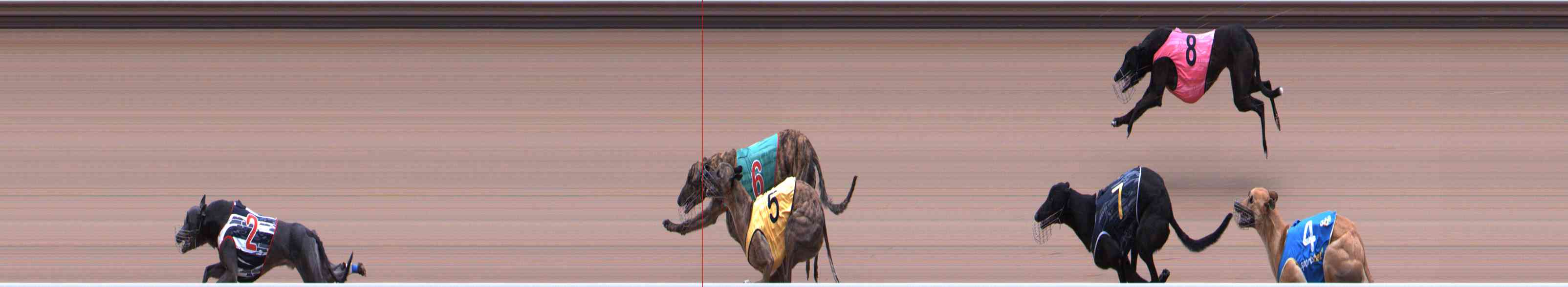 Photo finish for Healesville Race 8