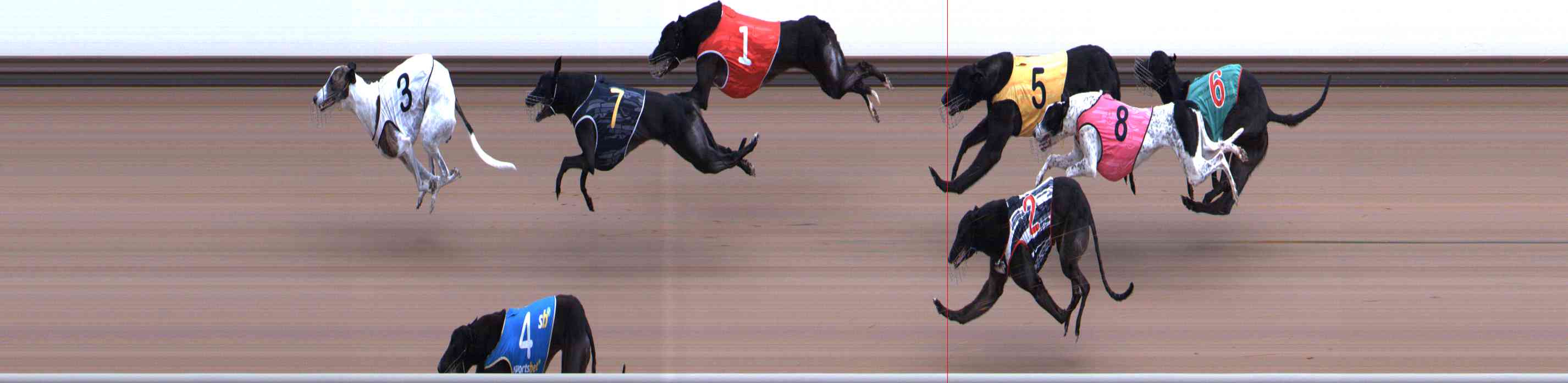 Photo finish for Healesville Race 9