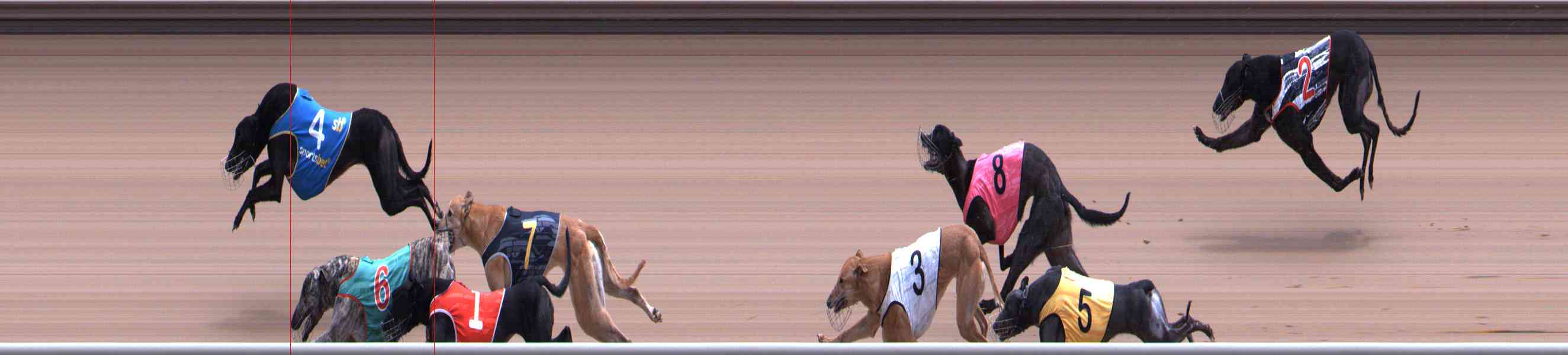 Photo finish for Healesville Race 10