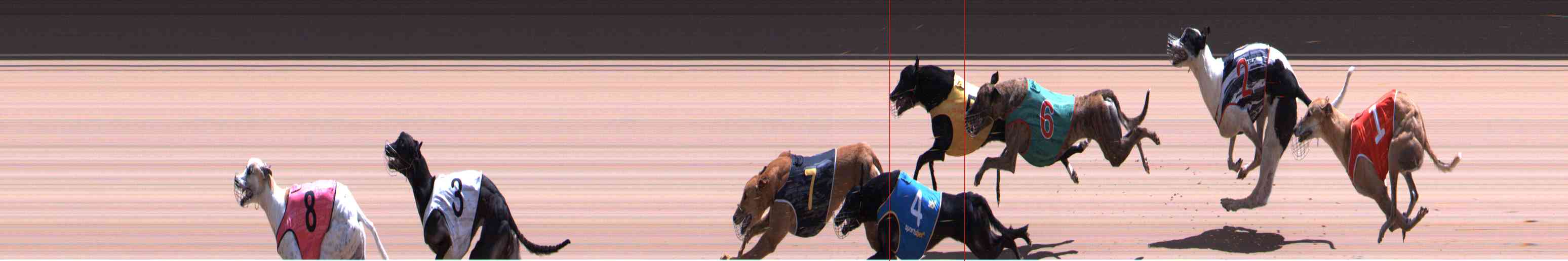 Photo finish for Healesville Race 11