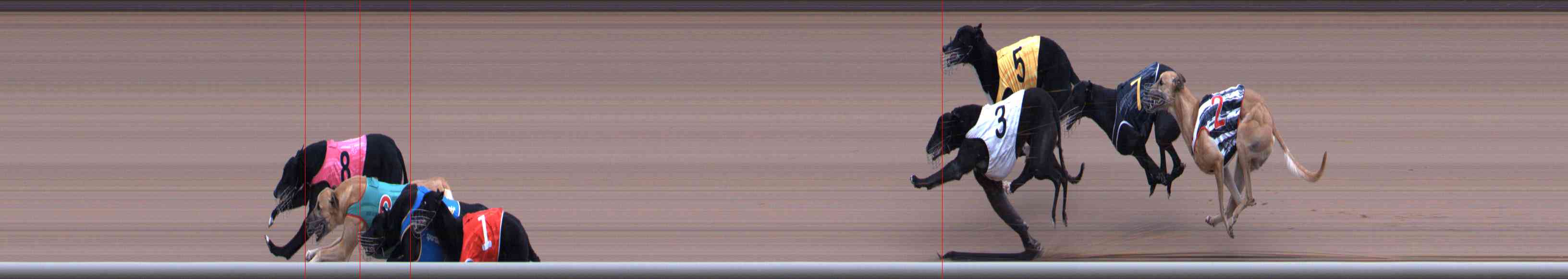 Photo finish for Healesville Race 12