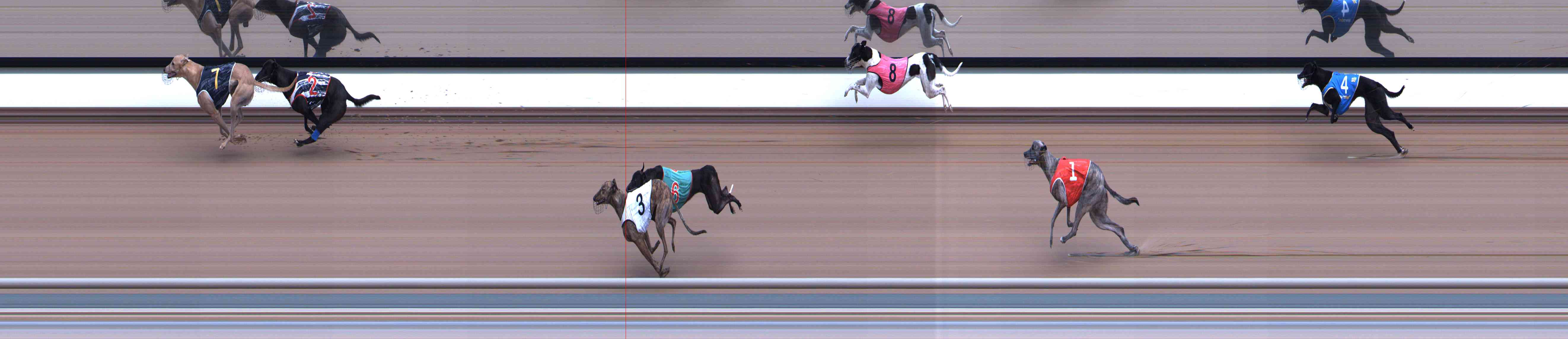 Photo finish for Healesville Race 1
