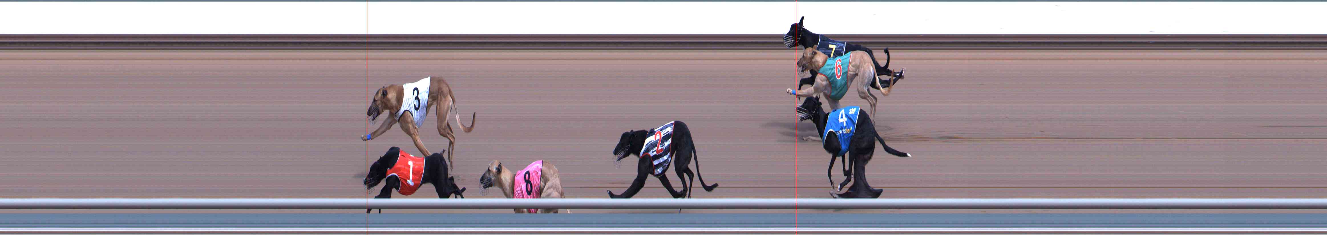 Photo finish for Healesville Race 2