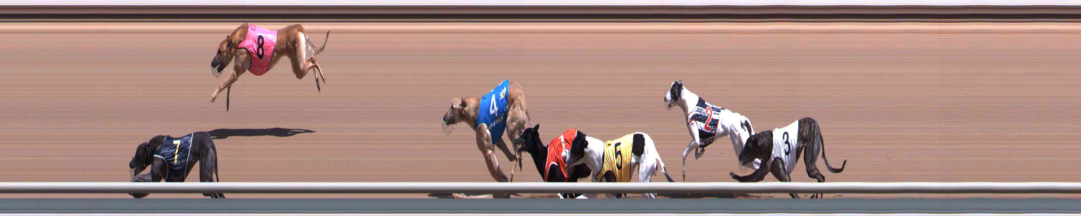 Photo finish for Healesville Race 3