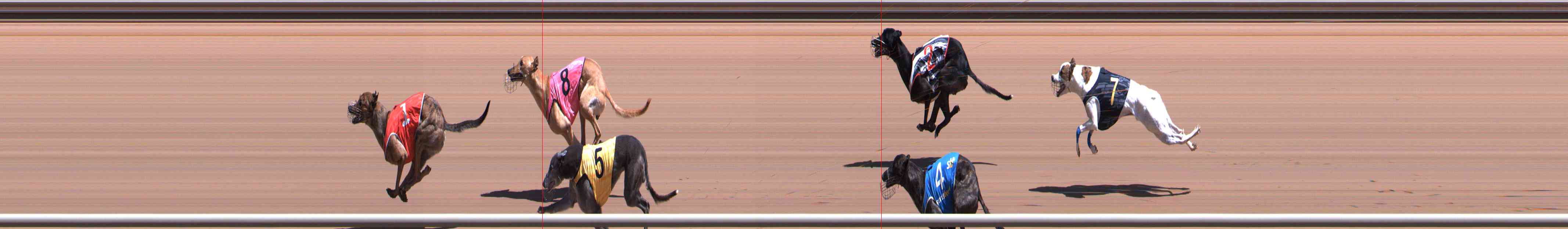 Photo finish for Healesville Race 4