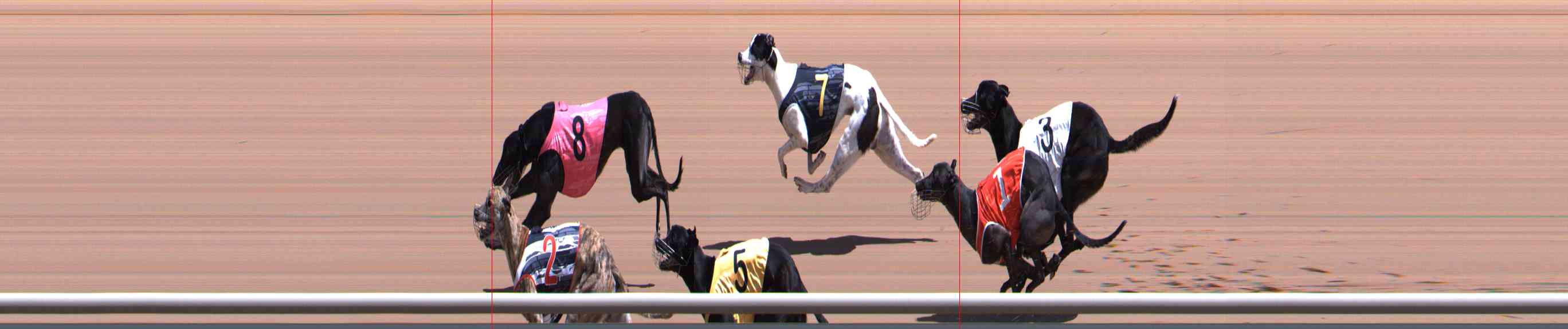 Photo finish for Healesville Race 5