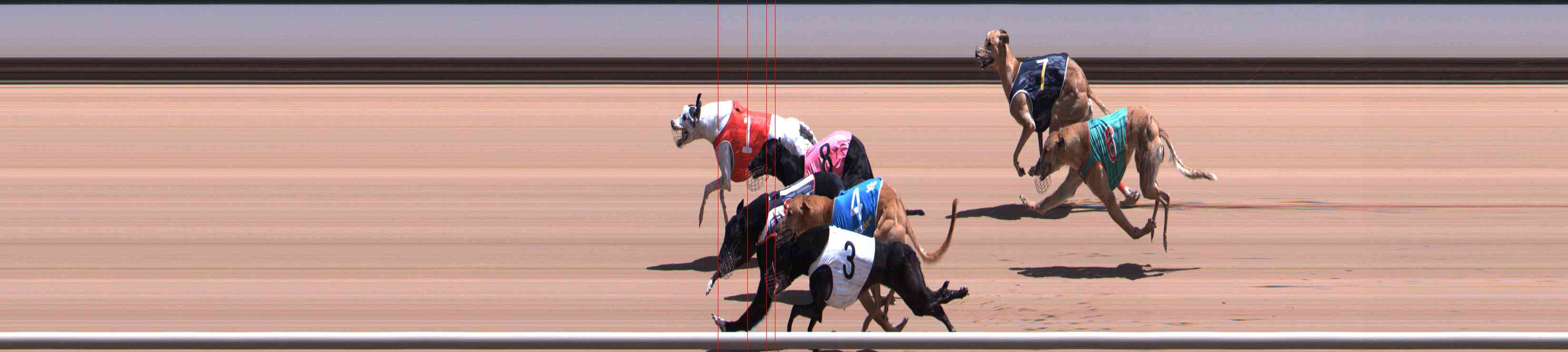 Photo finish for Healesville Race 6