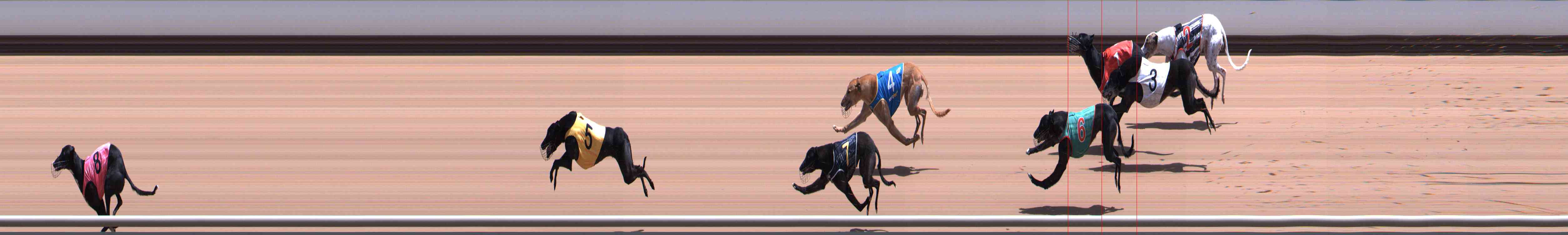 Photo finish for Healesville Race 7