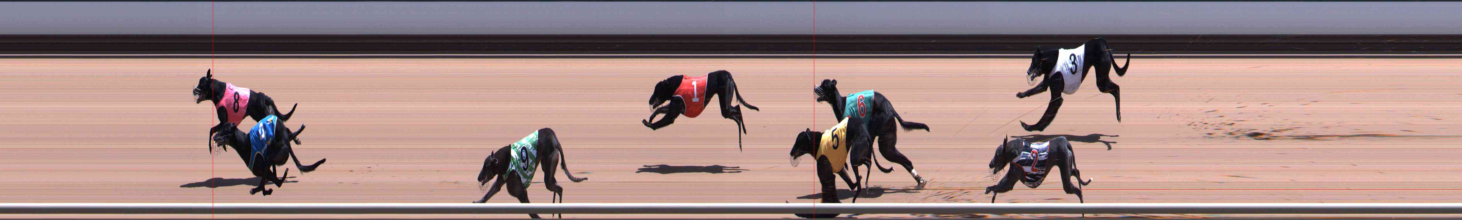 Photo finish for Healesville Race 8