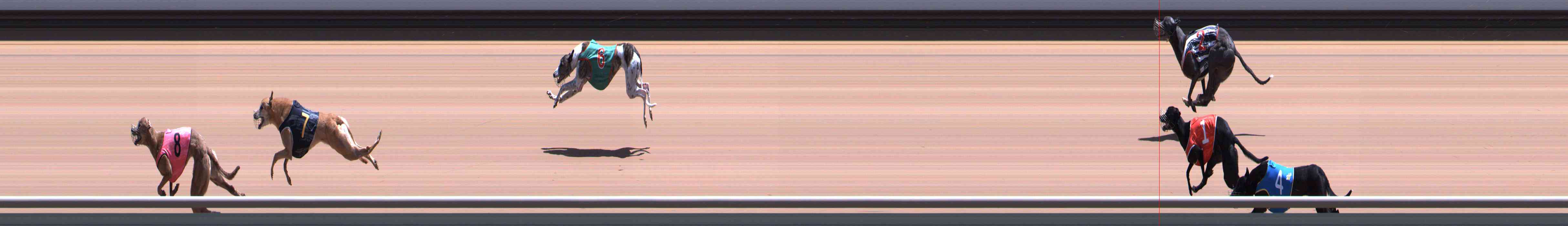 Photo finish for Healesville Race 9