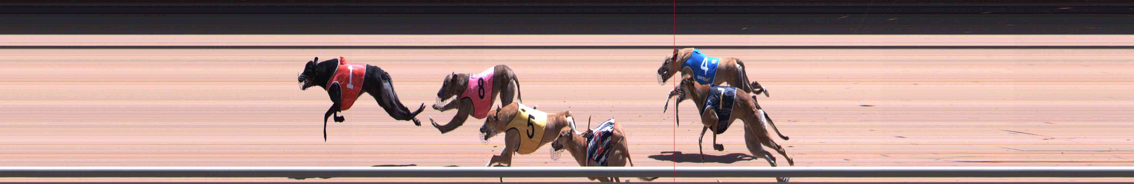 Photo finish for Healesville Race 10