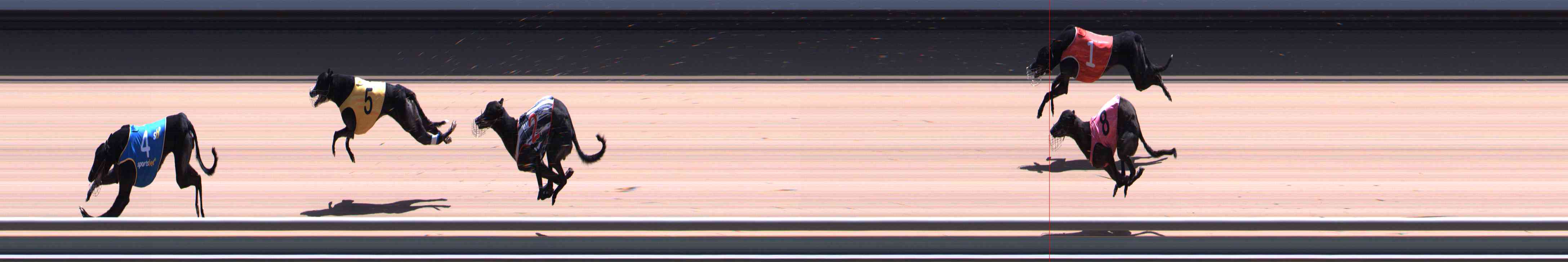 Photo finish for Healesville Race 11