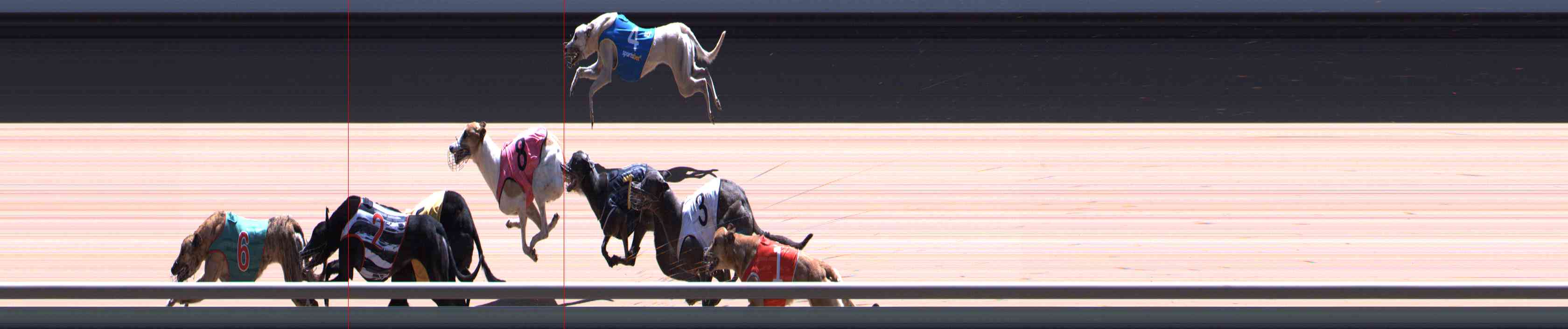 Photo finish for Healesville Race 12