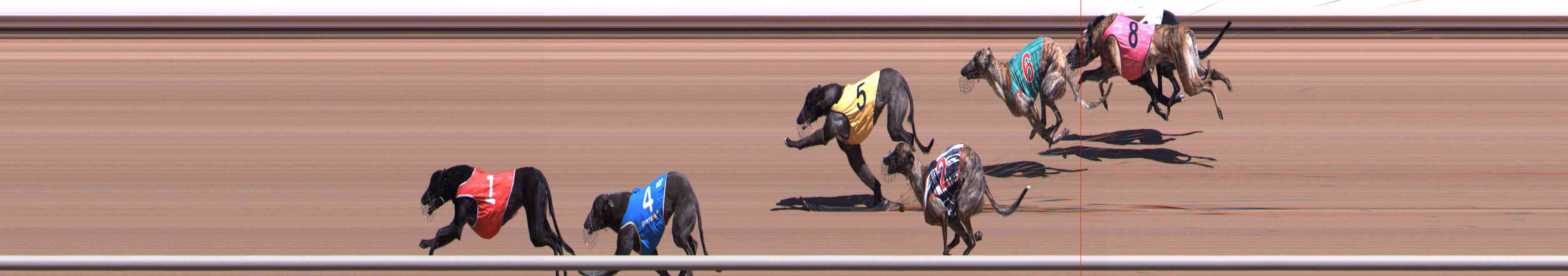 Photo finish for Healesville Race 1
