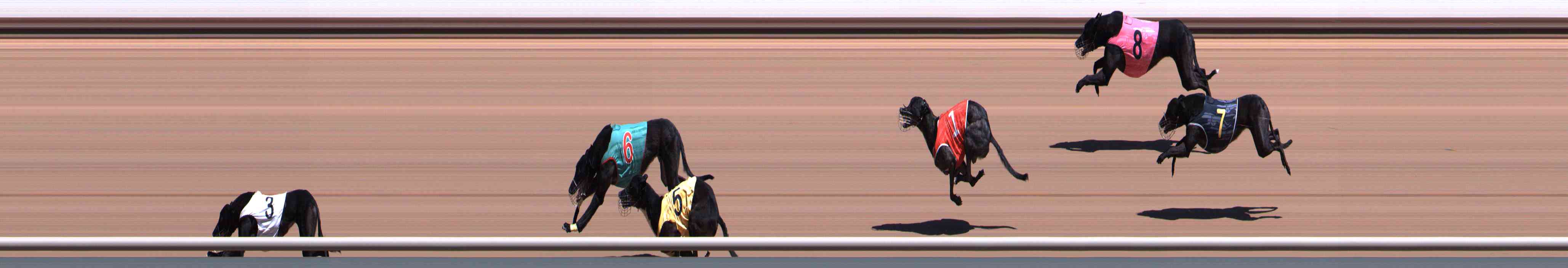 Photo finish for Healesville Race 2