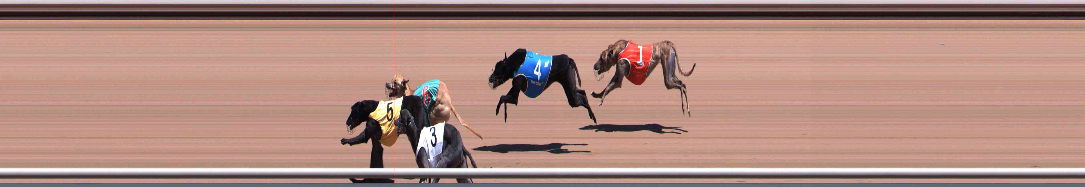 Photo finish for Healesville Race 3