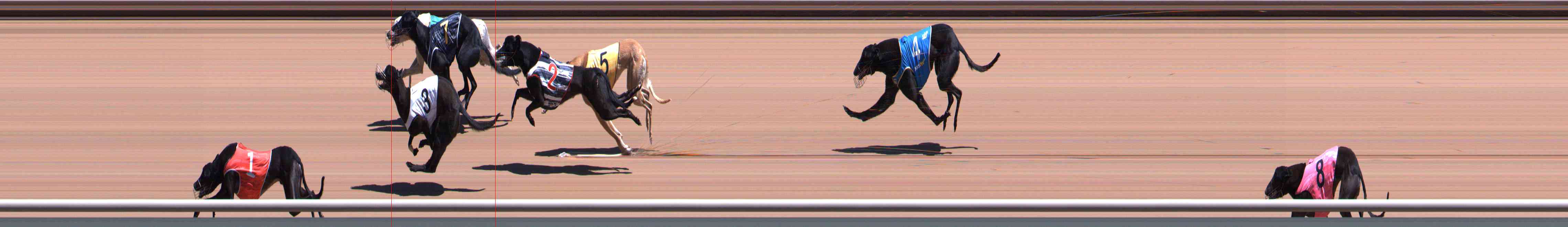 Photo finish for Healesville Race 4