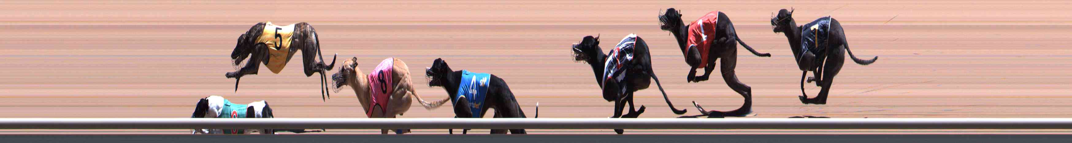 Photo finish for Healesville Race 7