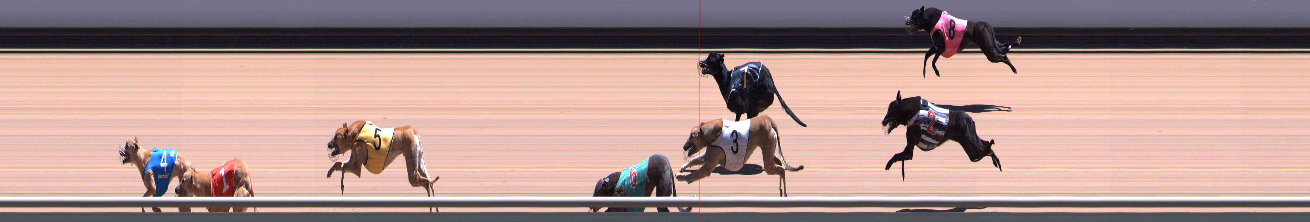 Photo finish for Healesville Race 8
