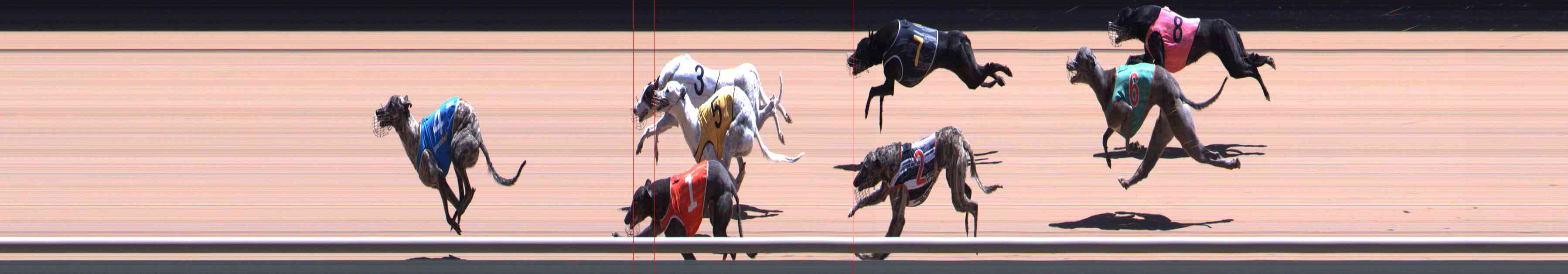 Photo finish for Healesville Race 9