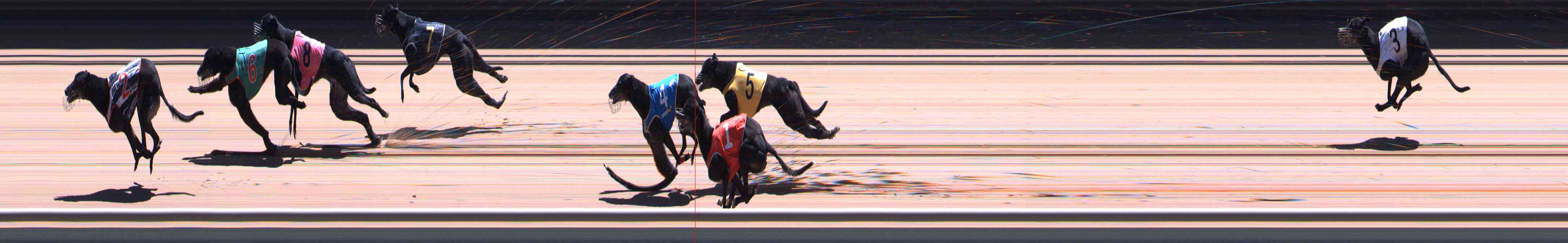Photo finish for Healesville Race 10