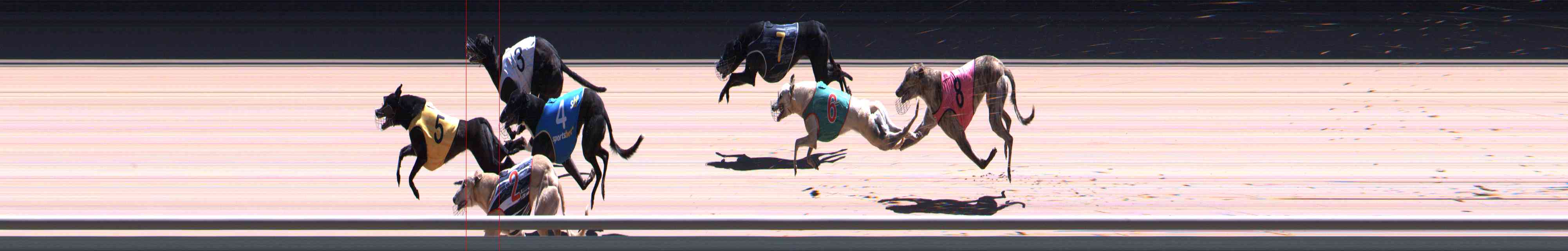 Photo finish for Healesville Race 11