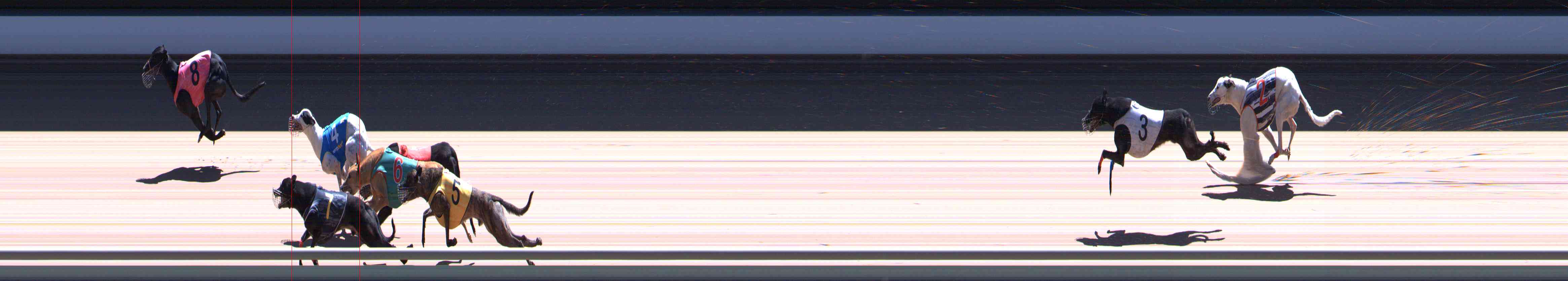 Photo finish for Healesville Race 12