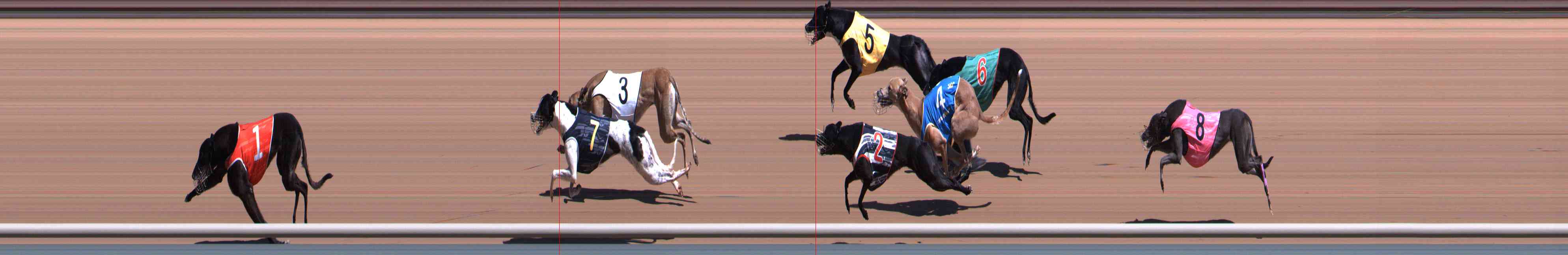 Photo finish for Healesville Race 3