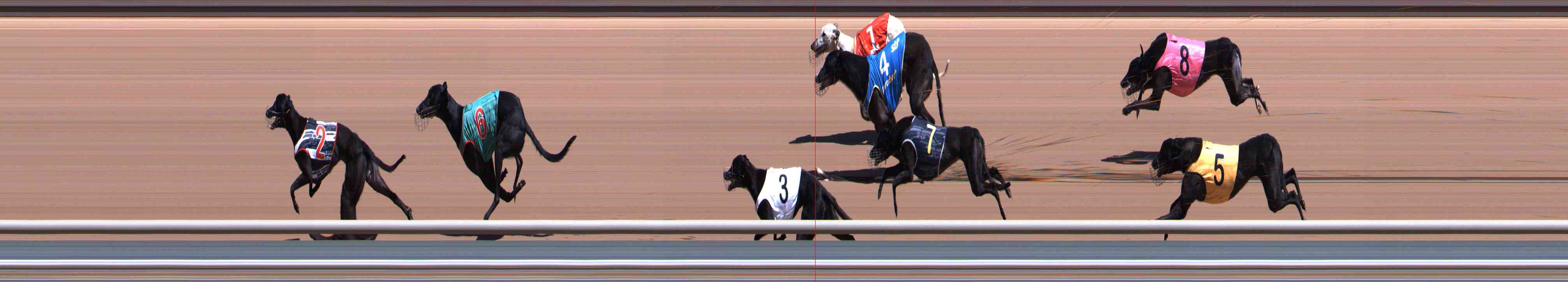 Photo finish for Healesville Race 4