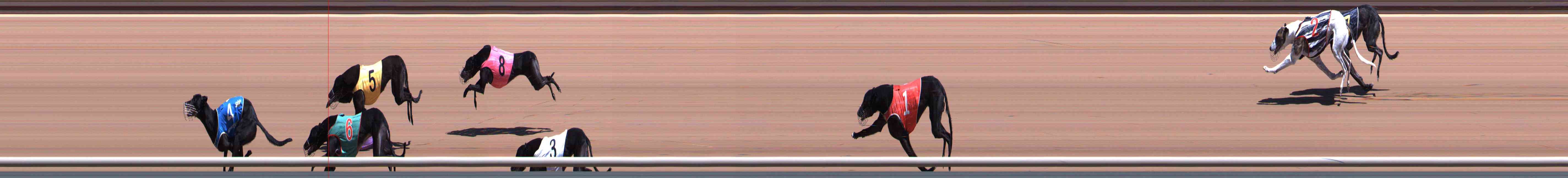 Photo finish for Healesville Race 5