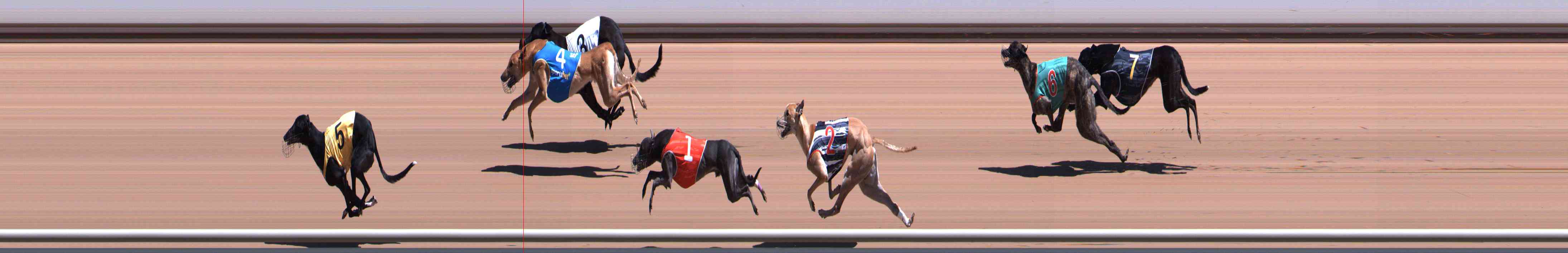 Photo finish for Healesville Race 6