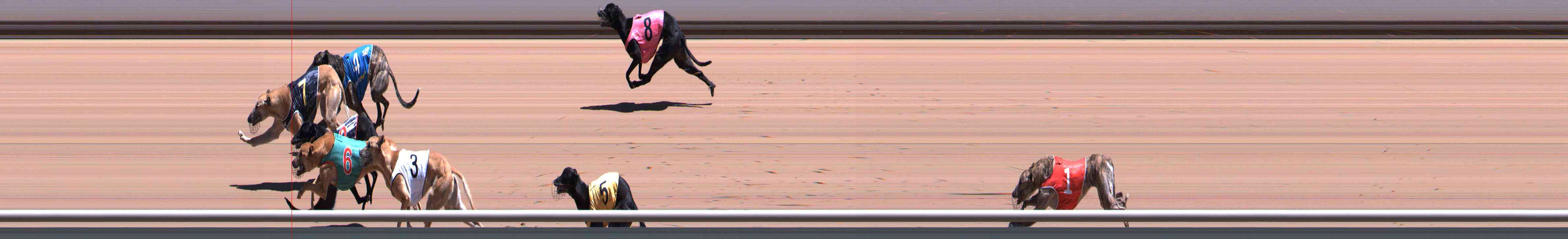 Photo finish for Healesville Race 7