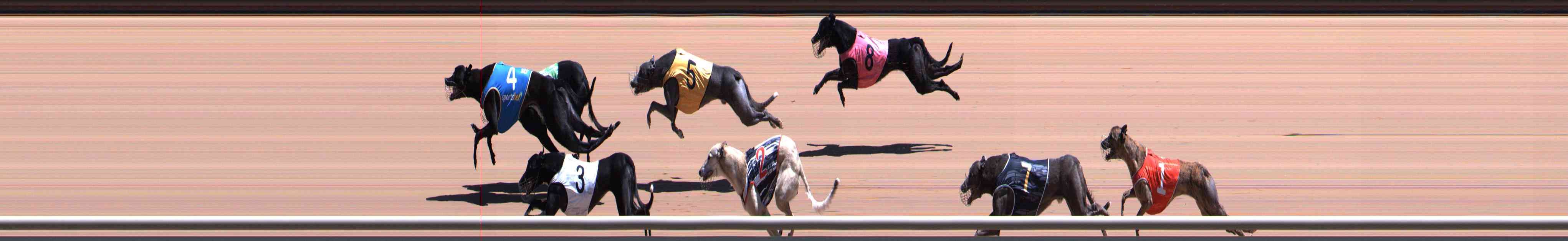 Photo finish for Healesville Race 8