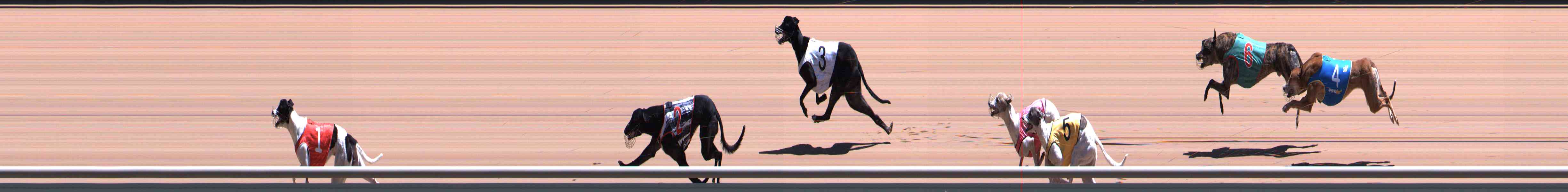 Photo finish for Healesville Race 9