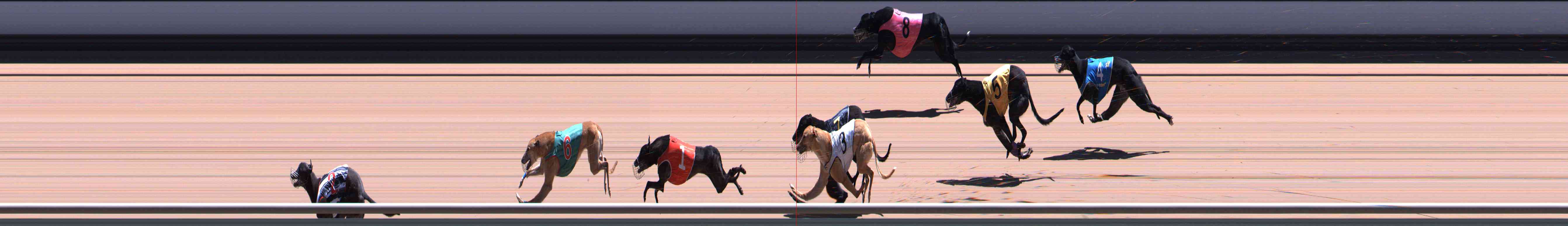 Photo finish for Healesville Race 10